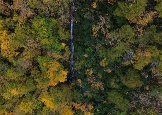 Sonbaharın Renkleri: Kastamonu Ormanları