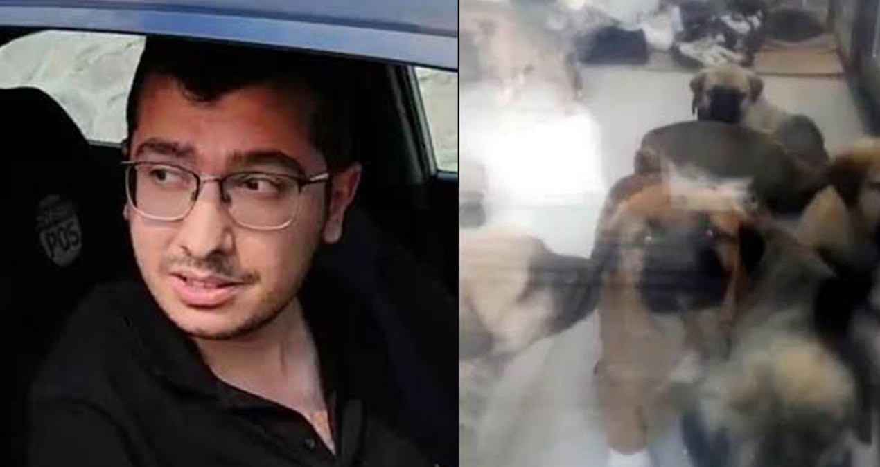 sahiplendigi kopekleri olduren doktor tahliyesiniistedi Wn78BJmO