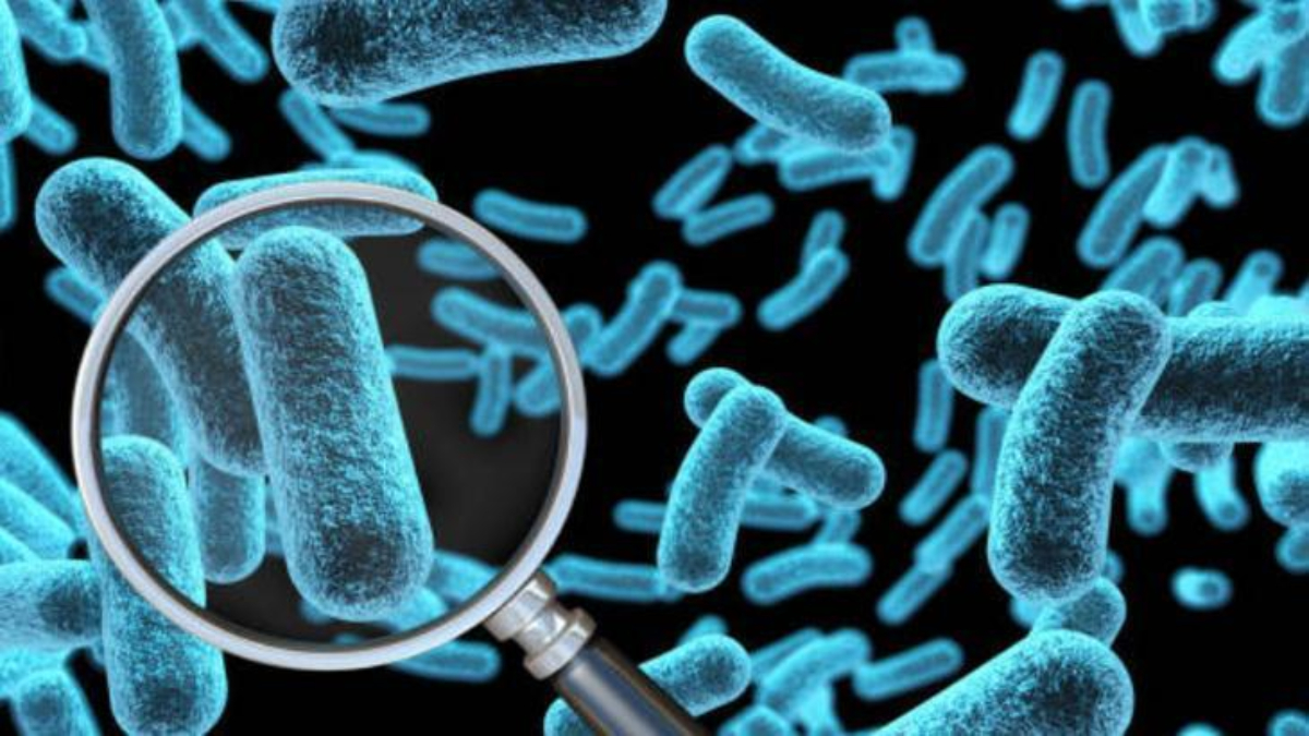 antibiyotiklerin sonu mu geliyor yapay zeka ile bakterileri olduren virus gelistirildi FgPf91tK