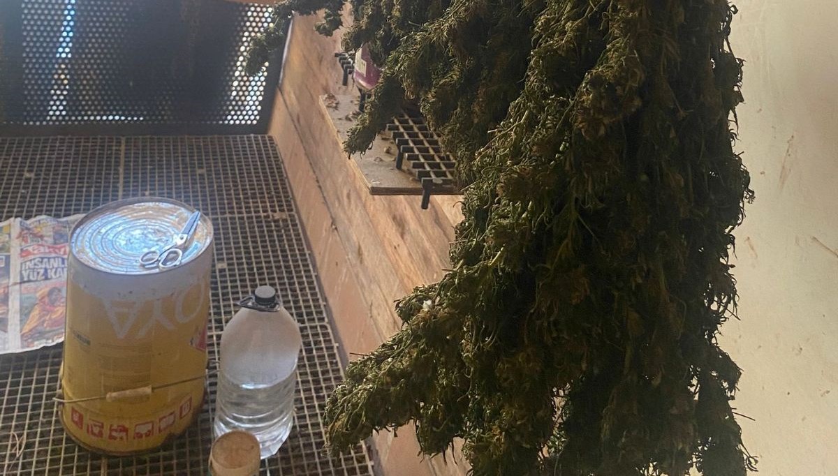 bursada guvercin kumesine gizlenmis uyusturucubulundu mVwC5tkE