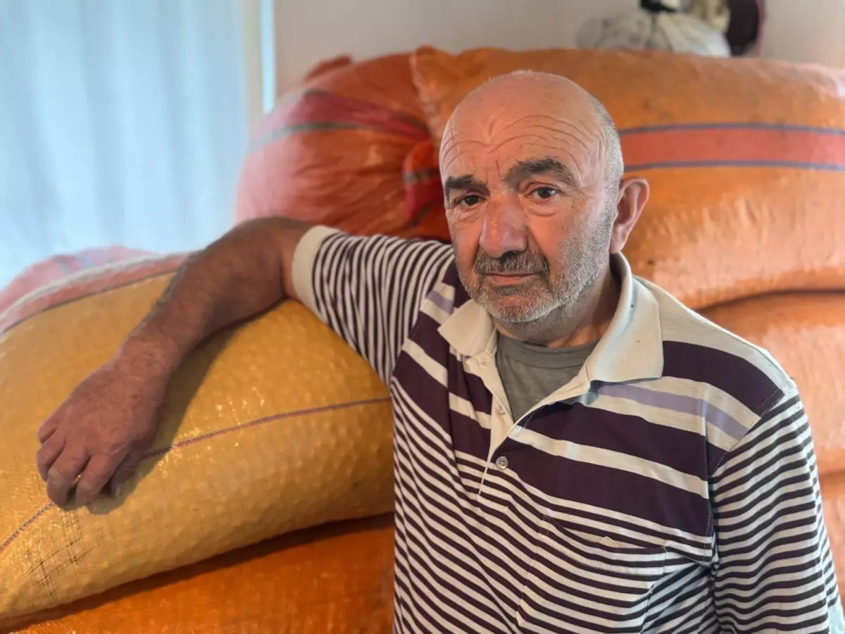 findik ureticisi beklemede crxUbqzL.jpg