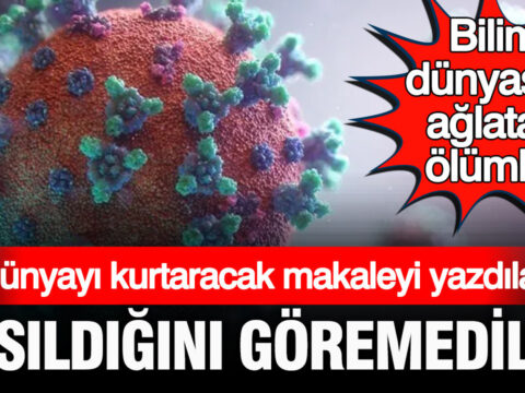 Dunyayi eboladan kurtaracak makaleyi yazdilar ama basildigini goremediler bilim dunyasini aglatan olum f1Ri8kIX
